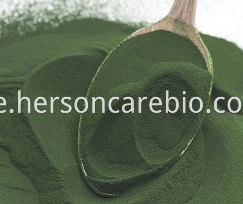 Spirulina Powder